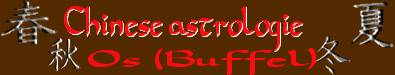 Os/Buffel/stier