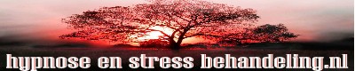 www.hypnose-en-stressbehandeling.nl