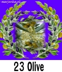 Olive 